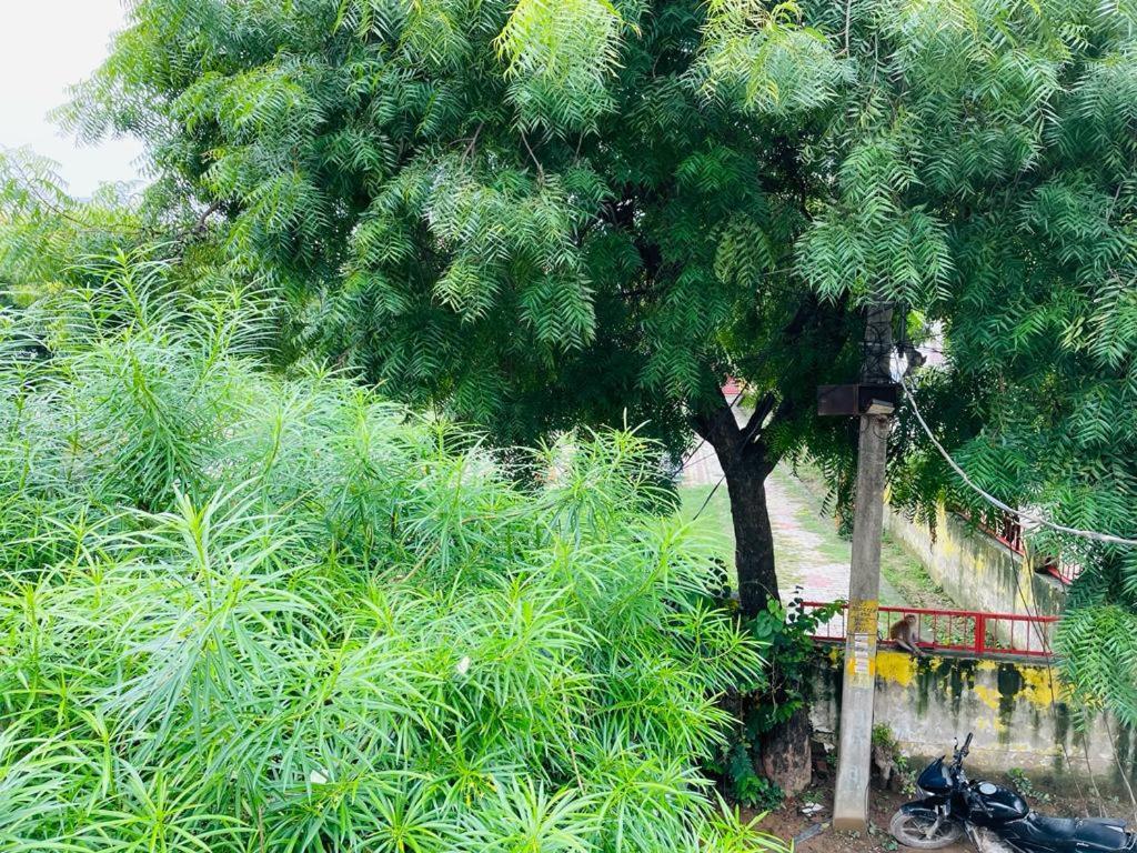Shree Balaji Homestay Ayodhya Bagian luar foto